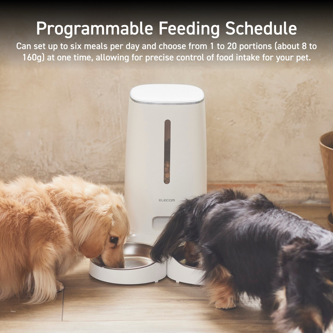 auto two pet feeder with schedule timer and 20 portion reservoir