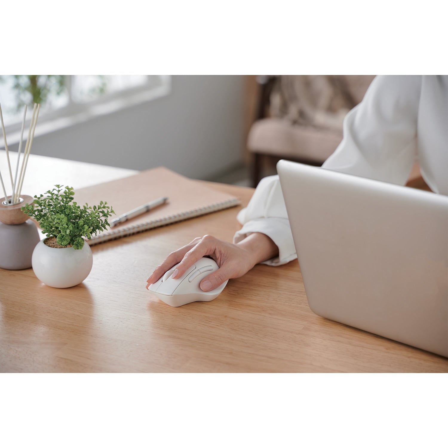 SH30 Ergonomic Mouse