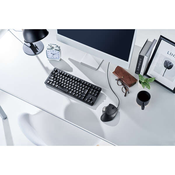 aesthetic desktop setup with black computer accessories | ergonomic mouse for wrist pain | right handed black trackball mouse | anti carpal tunnel mouse