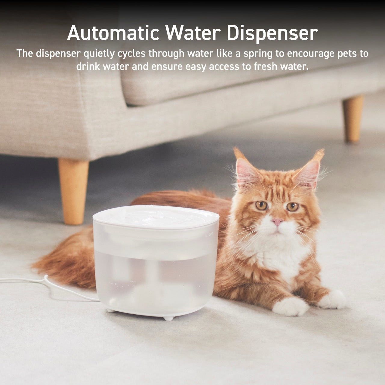 Automatic Water Dispenser | Pet fountain for cats and small dogs