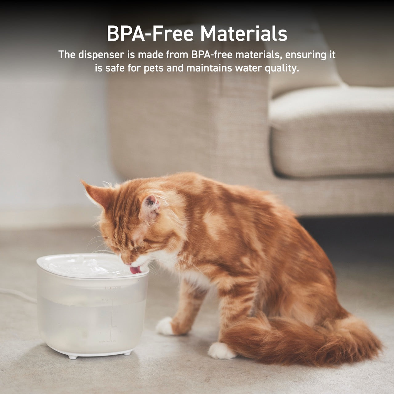 BPA free pet water fountain with pump filter | pet accessories for a healthy pet