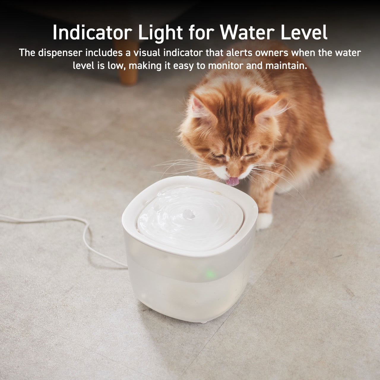 Pet water fountain with pump + filter | how to make sure your pet is drinking enough water